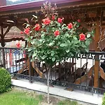 семеен йола Чепеларе