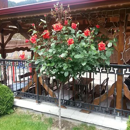 Family Yola Czepełare